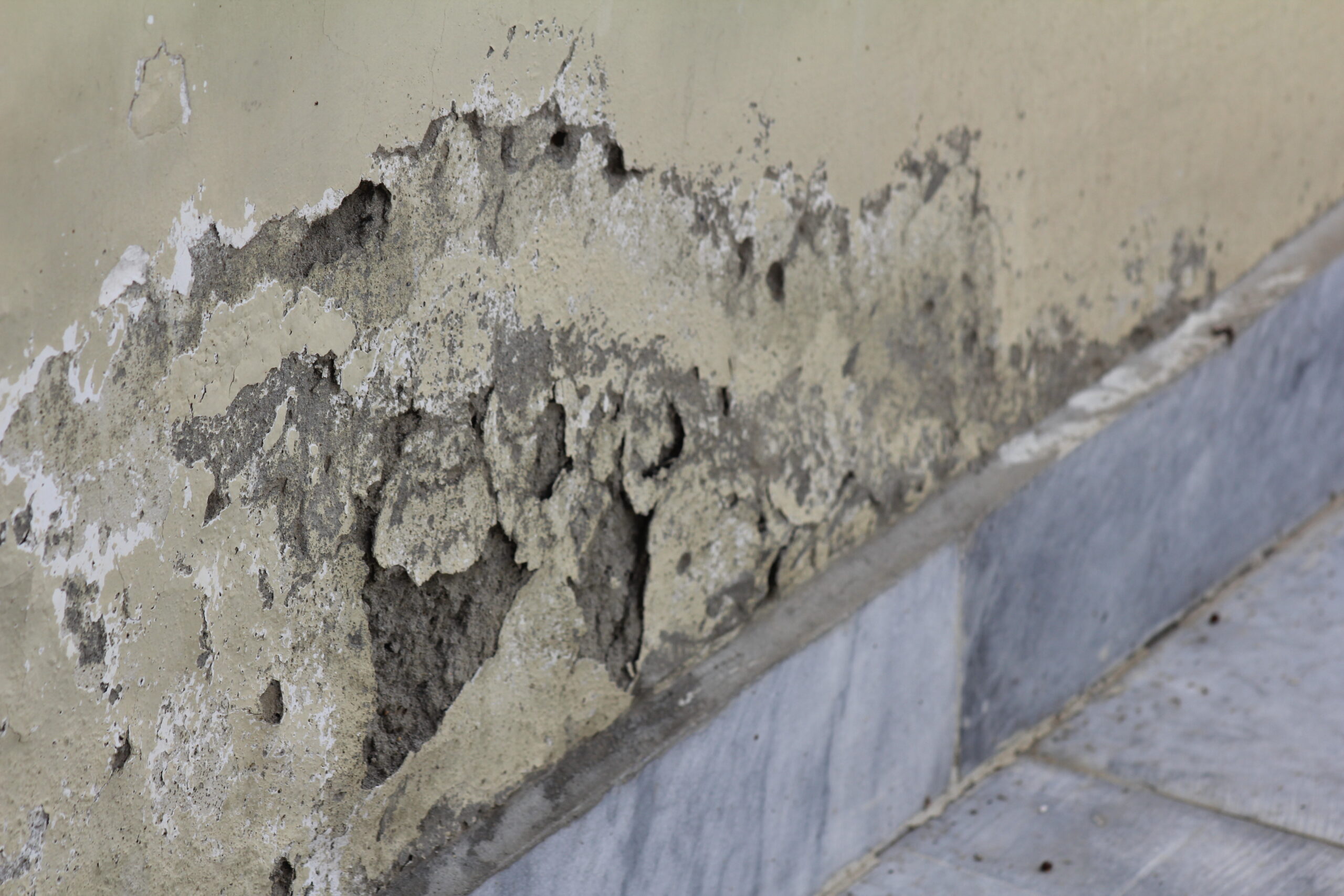 Mold Removal in Dallas Homes – Complete Guide to Safe & Lasting Solutions